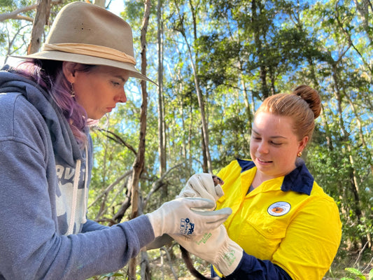 SSSAFE Fauna Spotter Catcher Training - 1 - 3 September 2026