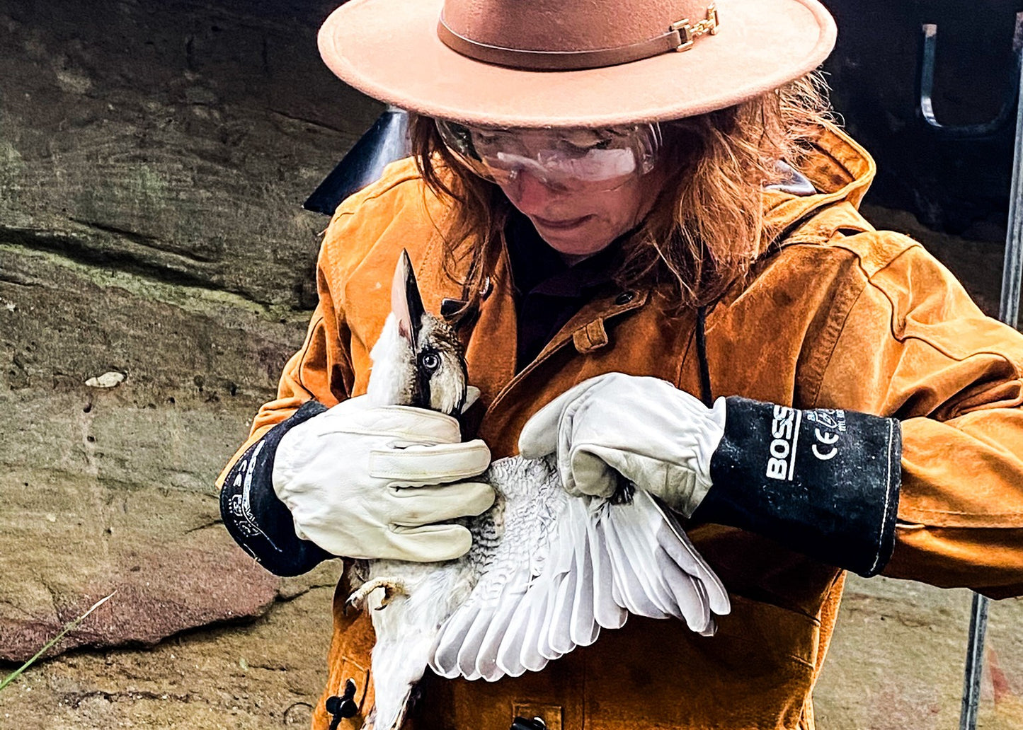 SSSAFE Fauna Spotter Catcher Training NOWRA NSW 18 - 20 November 2025 (NOW BOOKING)