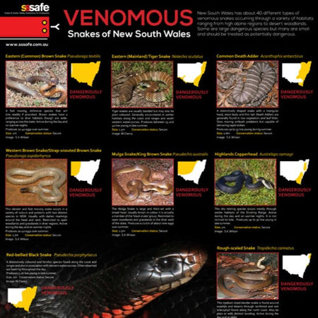 Venomous Snakes Of NSW