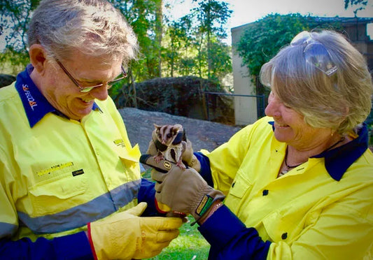 SSSAFE Fauna Spotter Catcher Training - 1 - 3 September 2026