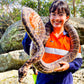 SSSAFE Fauna Spotter Catcher Training - 16 - 18 September 2025