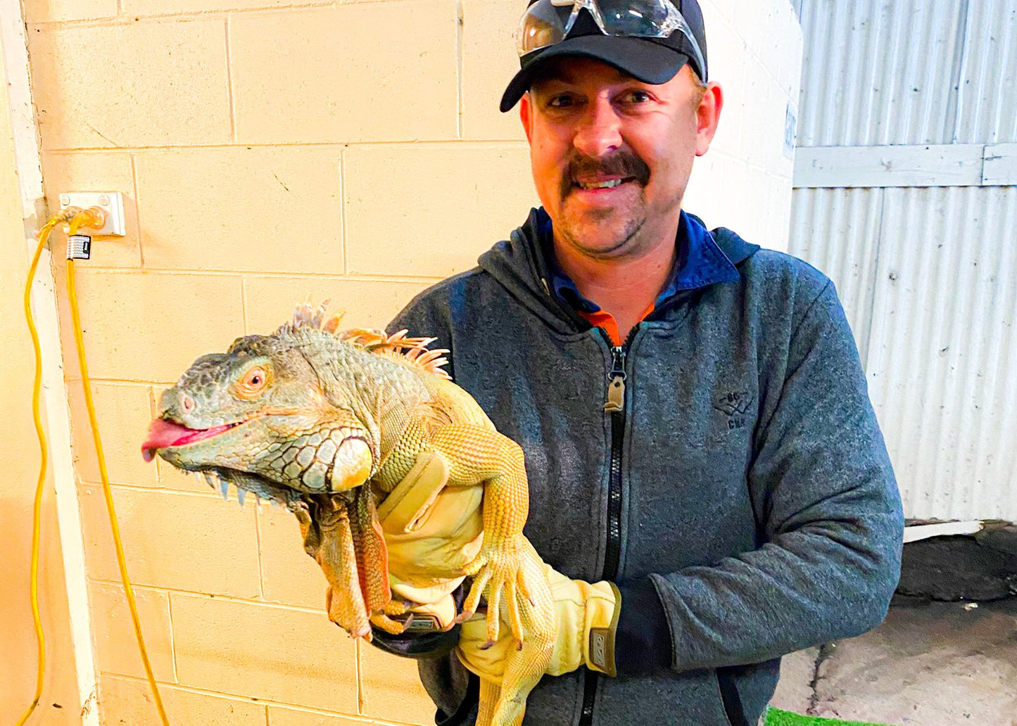 SSSAFE Fauna Spotter Catcher Training - 16 - 18 September 2025