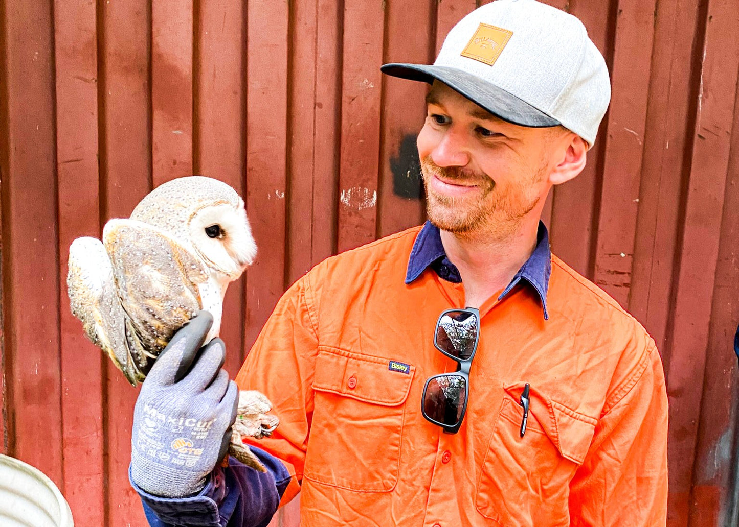 SSSAFE Fauna Spotter Catcher Training - 16 - 18 September 2025