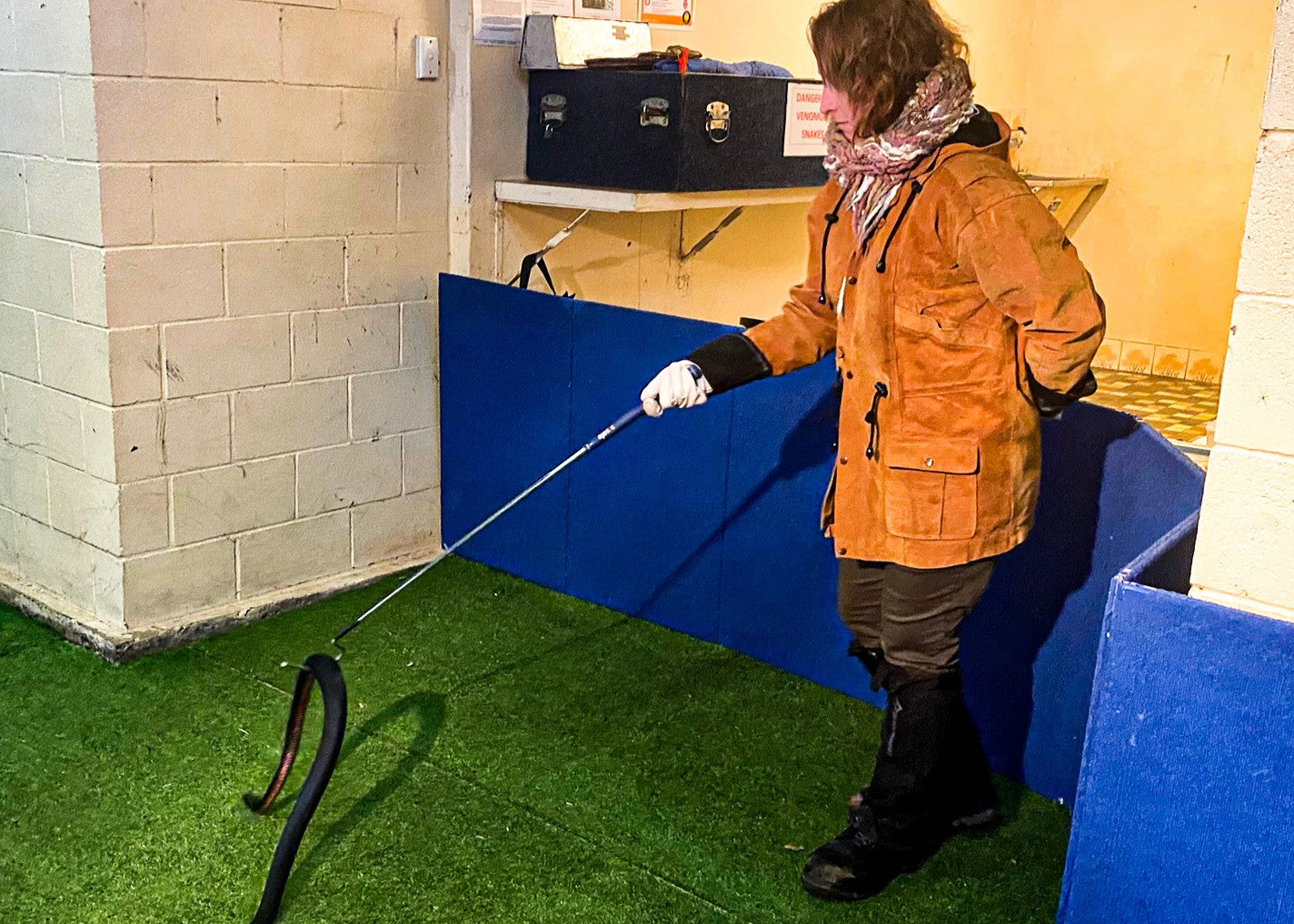 SSSAFE Fauna Spotter Catcher Training - 16 - 18 September 2025