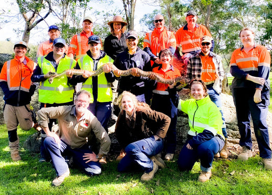 SSSAFE Fauna Spotter Catcher Training NOWRA NSW 18 - 20 November 2025 (NOW BOOKING)