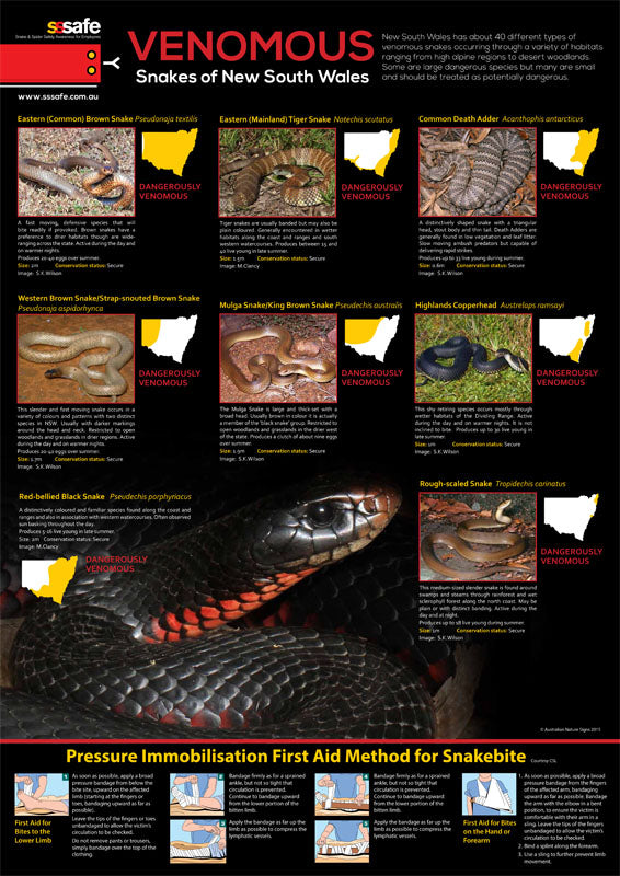 Venomous Snakes of NSW Poster